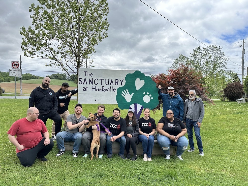 The sanctuary at Haafsville volunteer event